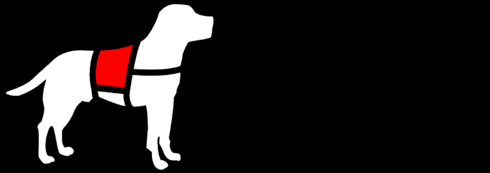 What Happens When Good Design Goes To The Dogs